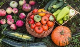 岭北吃瓜,揭秘当地特色美食背后的故事