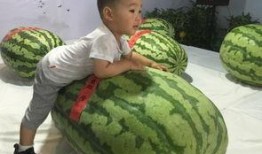 汕头吃瓜群众事件,网络舆论的风暴与反思