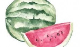 吃瓜鬼,揭秘吃瓜鬼背后的娱乐真相