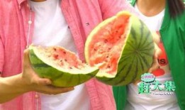 老王头吃瓜,揭秘民间趣事背后的真实故事