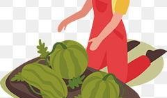 划水摸鱼吃瓜图片大全,划水摸鱼吃瓜，欢乐瞬间大盘点