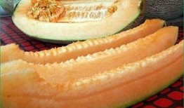 吃哈密瓜白,夏日消暑美食新宠