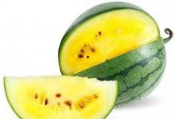 吃稍瓜好吗,吃稍瓜的好处与推荐