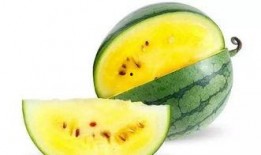 吃稍瓜好吗,吃稍瓜的好处与推荐