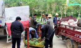 吃瓜群众大营门街道,吃瓜群众热议的社区风采