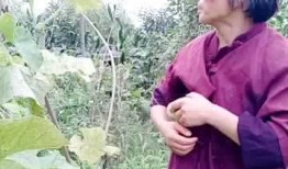 园姐吃瓜,揭秘娱乐圈那些不为人知的幕后故事