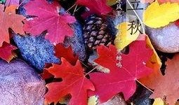 吃立秋瓜的古诗,品味古韵瓜香