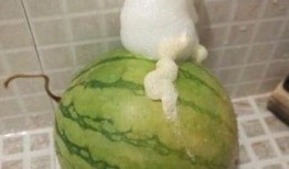 山野泡泡吃瓜,揭秘娱乐圈那些不为人知的秘密