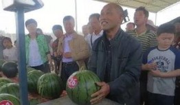 邢台任县吃瓜群众,吃瓜群众的欢乐时光