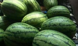 斯京吃瓜,揭秘都市生活背后的八卦风云