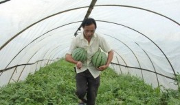 50多岁吃瓜群众,吃瓜群众笑谈风云变幻