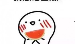 只想安稳吃瓜,只想安稳吃瓜的日常