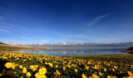 作别春色吃瓜群,一场别开生面的春日盛宴