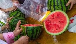 自己吃瓜视频,揭秘吃瓜视频背后的娱乐真相