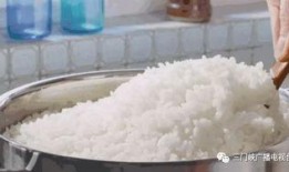 大米公主吃瓜,大米公主的甜蜜瓜果之旅