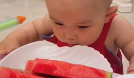 小胖嘟嘟吃瓜,小胖嘟嘟的甜蜜瓜果时光