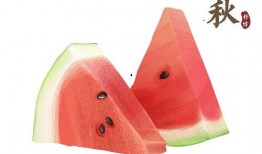 吃立秋瓜的古诗,品味古韵瓜香