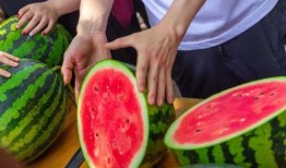 矿冶学院吃瓜,揭秘校园里的那些事儿