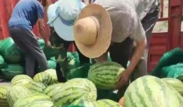 新加坡旁吃瓜群众