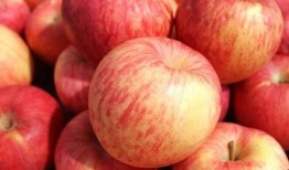 做月子可以吃小瓜不