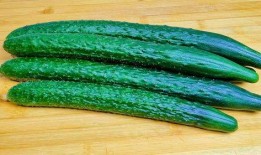 带你吃瓜小说的特点,带你揭秘带你吃，带你走进小说世界