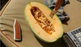 车内吃瓜,揭秘隐秘的社交现象