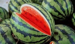 近期青岛吃瓜,近期热点事件大盘点