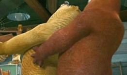 老哥现场吃瓜视频,老哥吃瓜视频，揭秘娱乐圈幕后真相