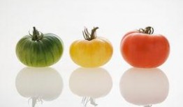 糖尿病吃三种瓜两种肉,三瓜两肉，健康生活新选择