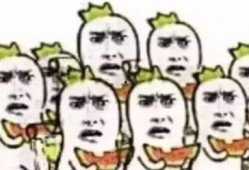 比利时吃瓜群众,瓜界风云，谁主沉浮？