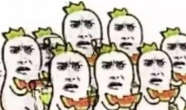 比利时吃瓜群众,瓜界风云，谁主沉浮？