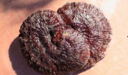 流产后吃黑瓜,助康复养生的天然选择