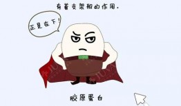 瓜娃子吃猪蹄,一场味蕾与童趣的碰撞