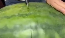 吃瓜窜稀吗,揭秘网络热议背后的“窜稀”现象