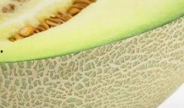 不想吃瓜被迫吃瓜,无奈中的幽默生活点滴