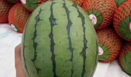 教我制作可以吃瓜,教你制作美味可口的夏日吃瓜指南