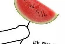 吃瓜笑的图片,揭秘网络热图的欢乐瞬间