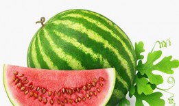 诡异植物吃瓜图片