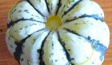 吃蒸小瓜,蒸小瓜的美味诱惑