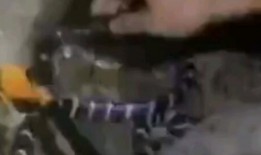 迪拜哥吃瓜,揭秘中东奢华生活背后的真实故事