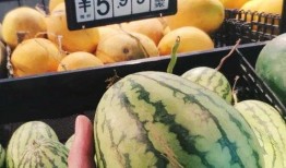 斯京吃瓜,揭秘都市生活背后的八卦风云