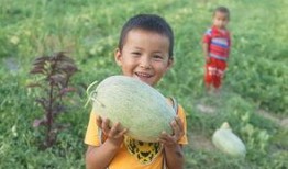 吃瓜群众的小孩,揭秘童年的趣味与成长