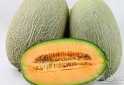 30周吃哈密瓜