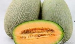 30周吃哈密瓜