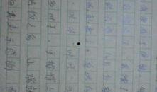 吃瓜作文550字,一场关于吃瓜的趣味作文之旅