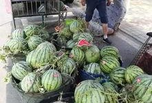 新疆博乐吃瓜事件,一场引发热议的街头冲突