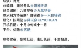 理性吃瓜话题讲解,揭秘网络舆论背后的真相与反思