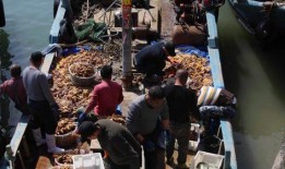 渔民吃瓜围观演习,见证海上安全新篇章