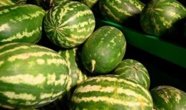 qg老林事件吃瓜,一场电竞圈的“瓜”界风云