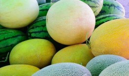 成都吃瓜哪家好,揭秘成都吃瓜哪家强